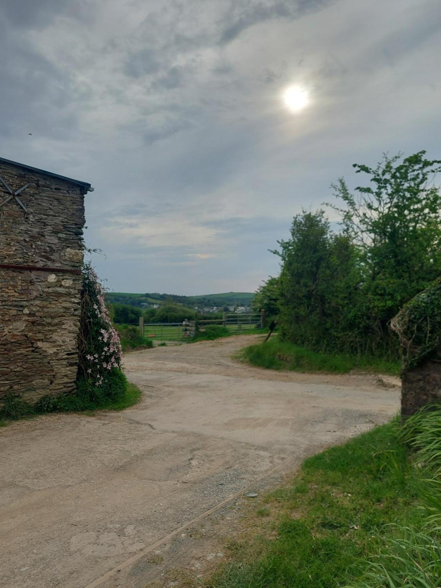 Rural Historic Farmhouse - A Peaceful Escape West Down 외부 사진