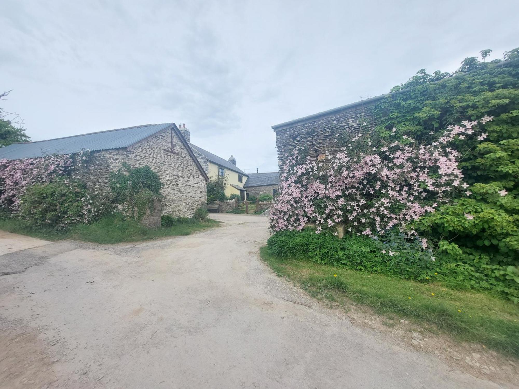 Rural Historic Farmhouse - A Peaceful Escape West Down 외부 사진